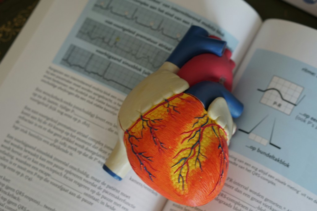 A model heart sitting on top of a cardiology text book showing how to read EKGs. 