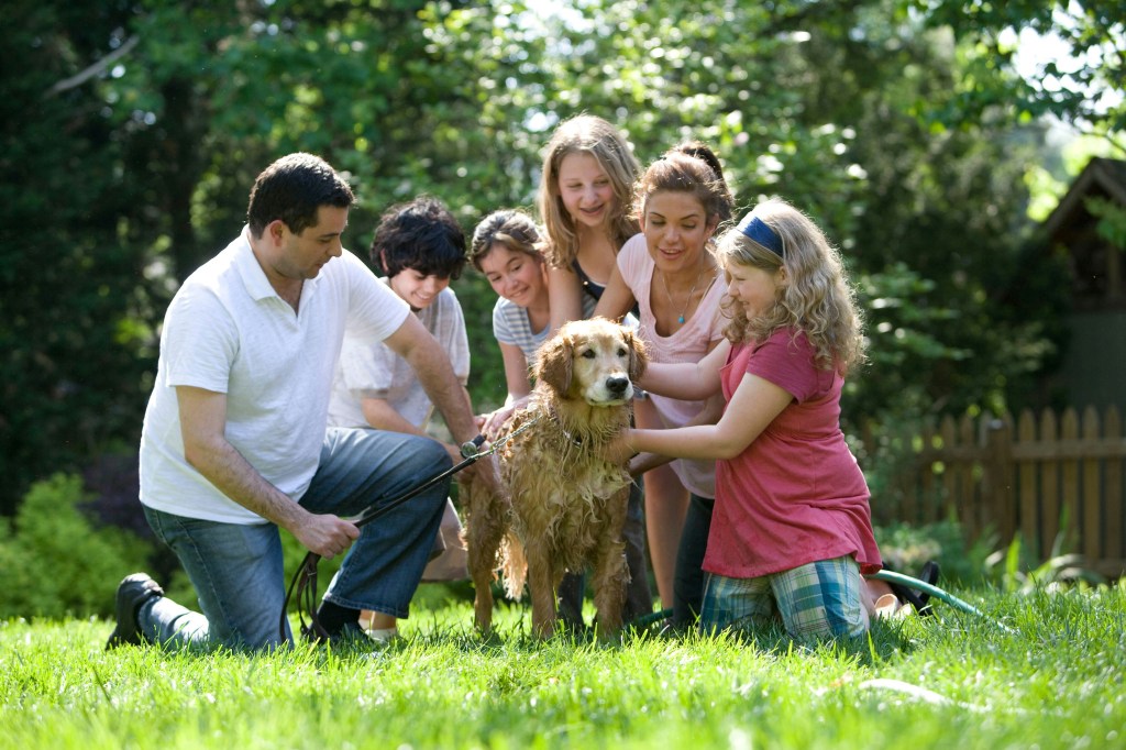 An off duty fire fighter paramedic helping his family wash their dog. 